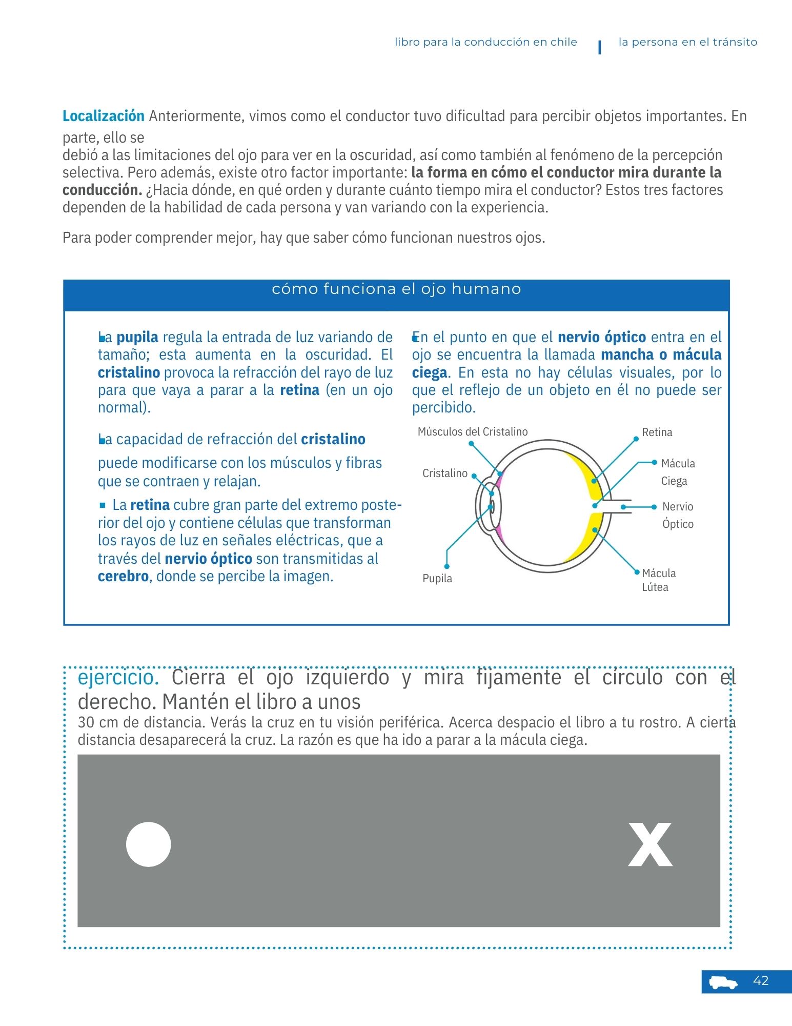Visión y campo visual
